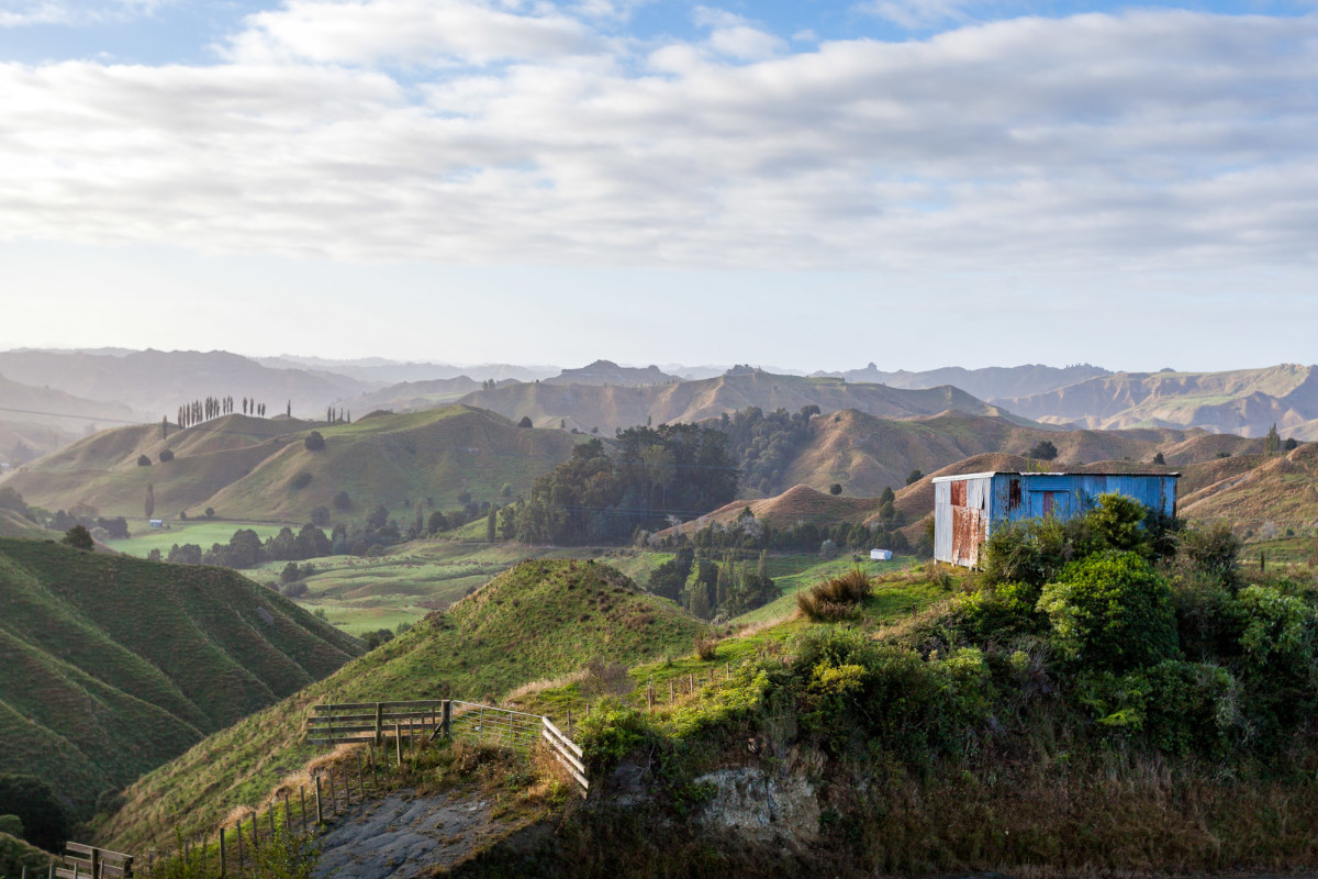 Forgotten-World-Highway-Neuseeland-11