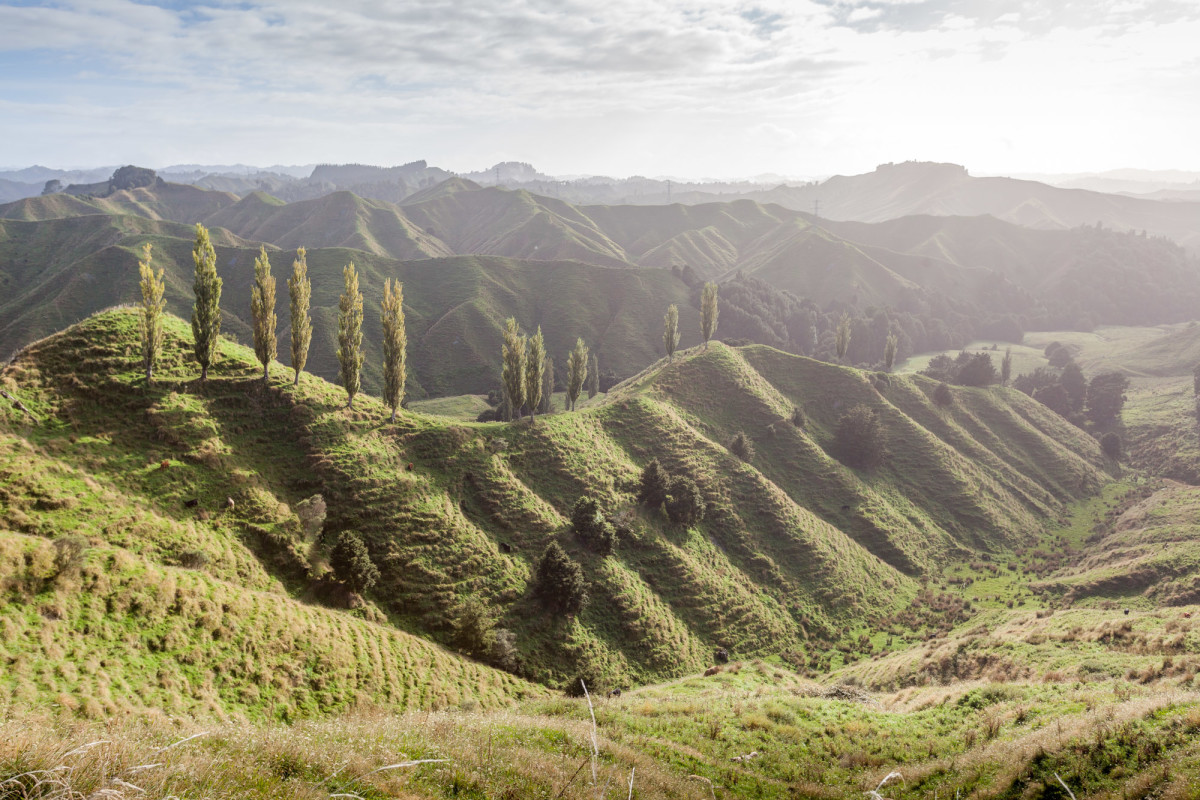 Forgotten-World-Highway-Neuseeland-14