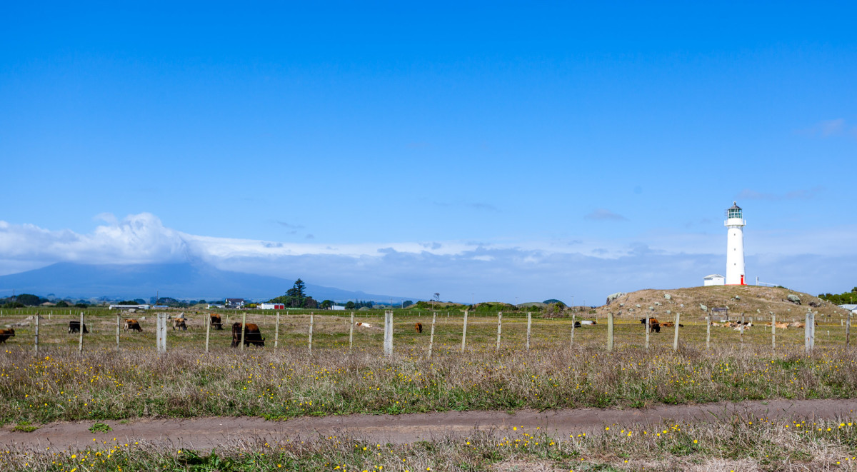 Forgotten-World-Highway-Neuseeland-18