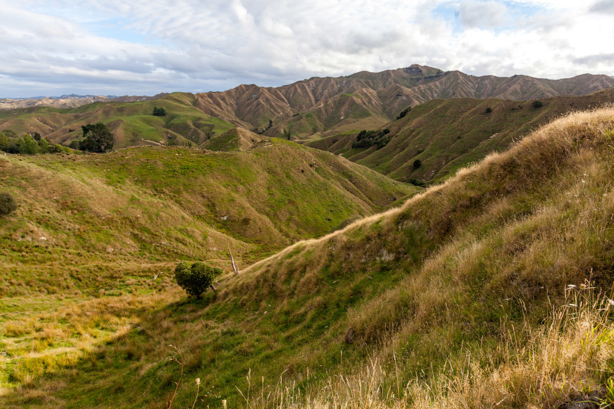 Forgotten-World-Highway-Neuseeland-2