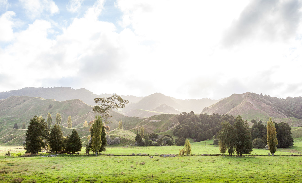 Forgotten-World-Highway-Neuseeland-3