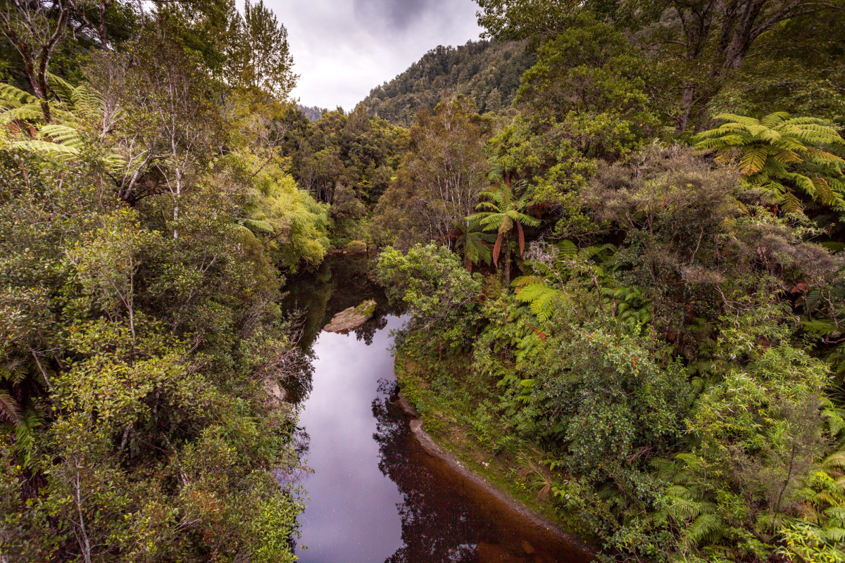 Forgotten-World-Highway-Neuseeland-5