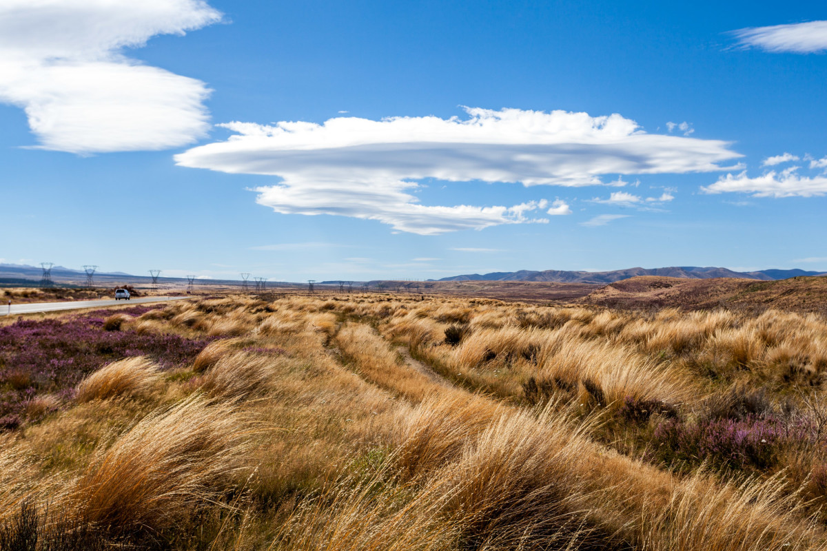 Lake-Taupo-Neuseeland-1