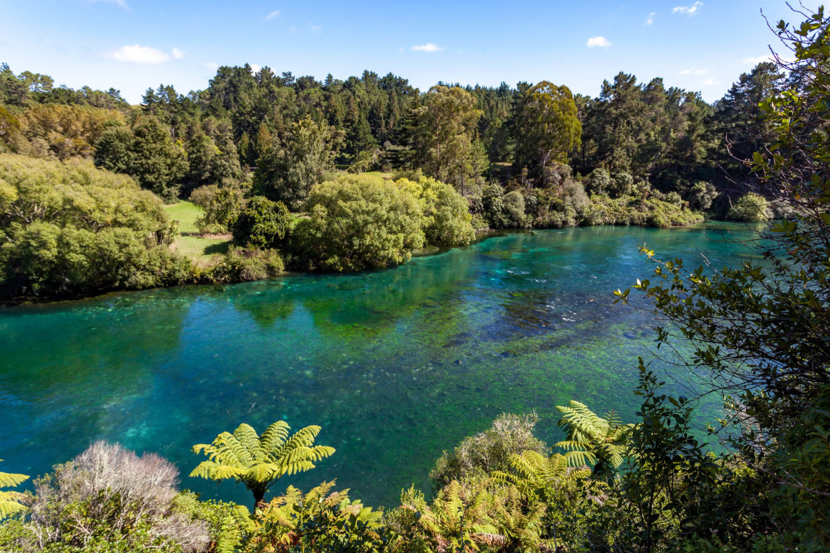 Lake-Taupo-Neuseeland-9