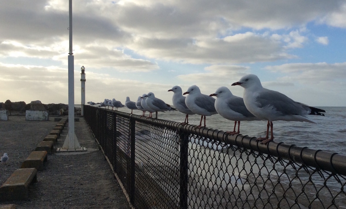 Ross-Hokitika-Greymouth-Westport-26