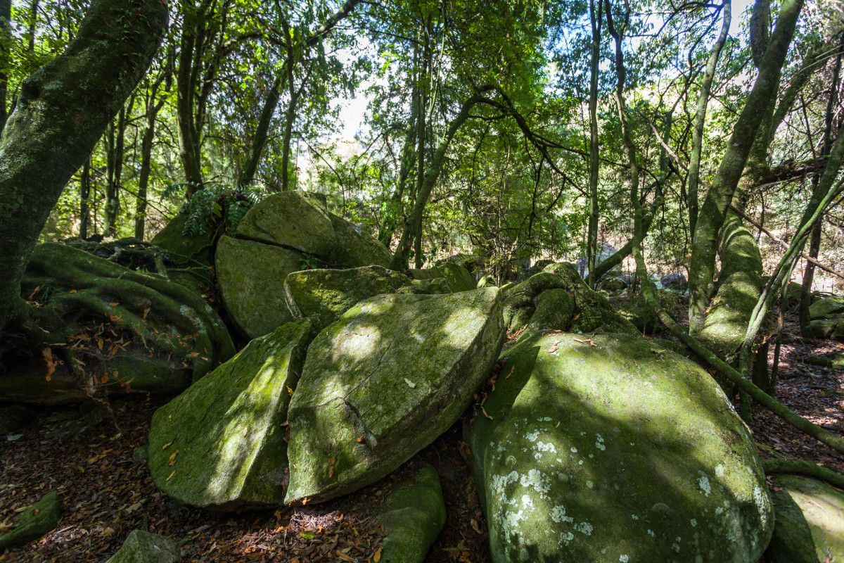 Whitecliff-Boulders-Neuseeland-3