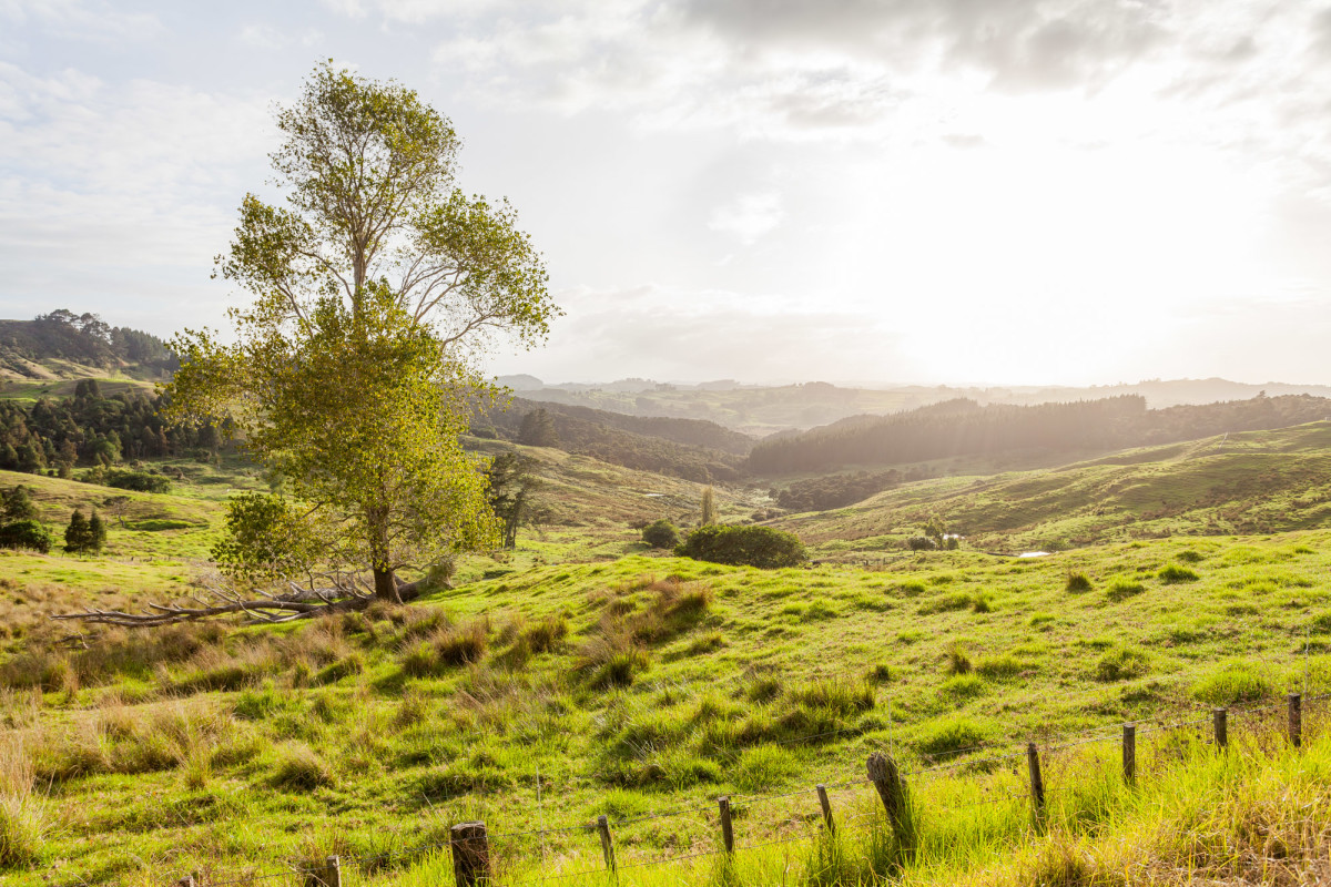 Ahipara-Rawene-Neuseeland-4