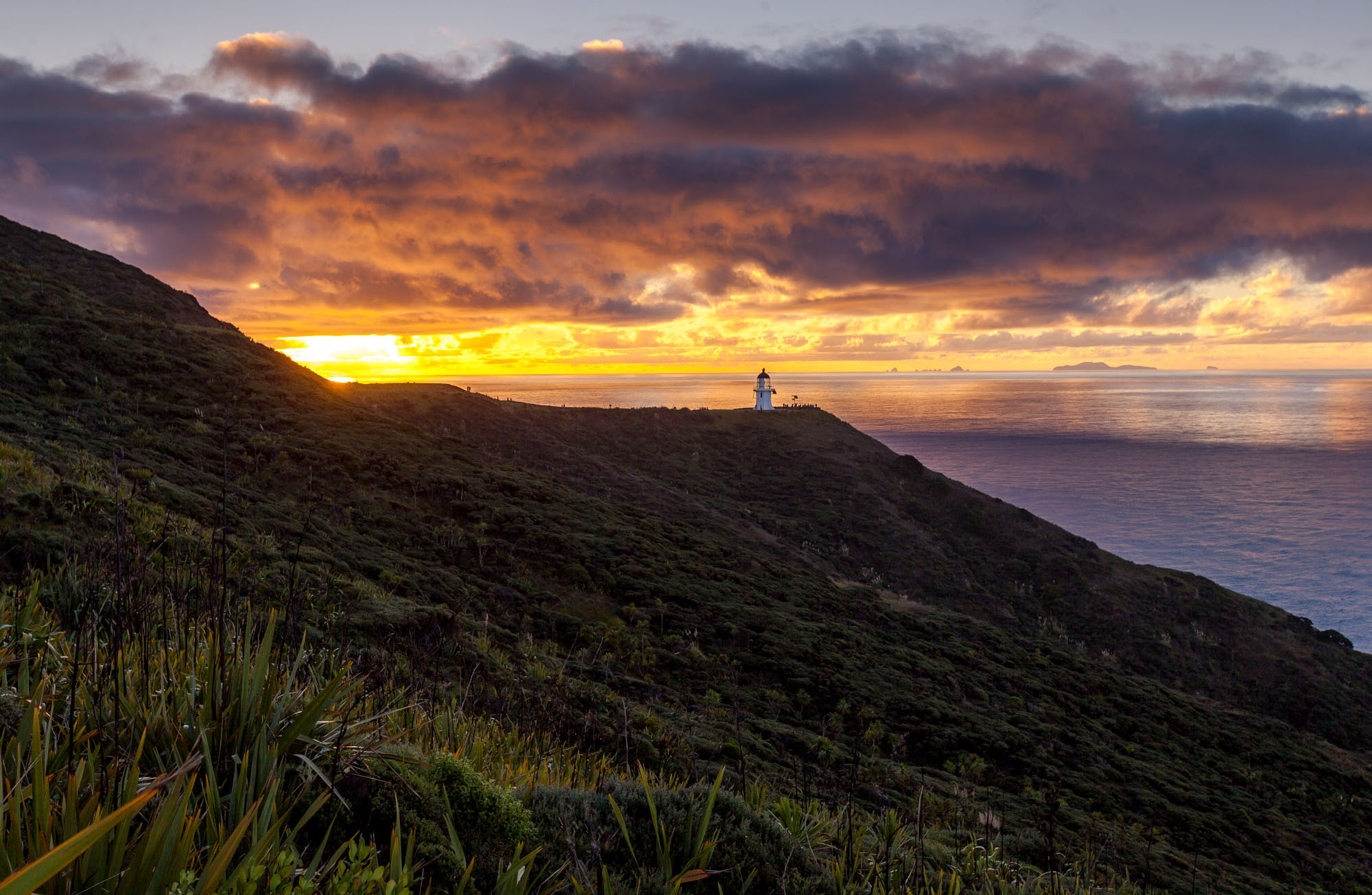 Vom Cape Reinga zur Kauri Coast: Autos und Kiwis