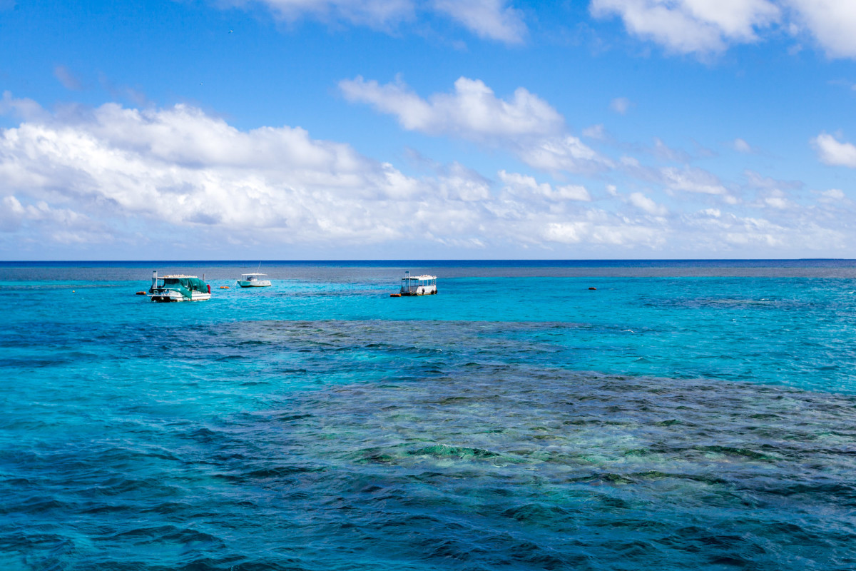 Lady-Musgrave-Great-Barrier-Reef-Australien-2