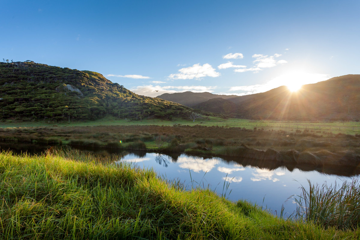 Spirits-Bay-Neuseeland-10