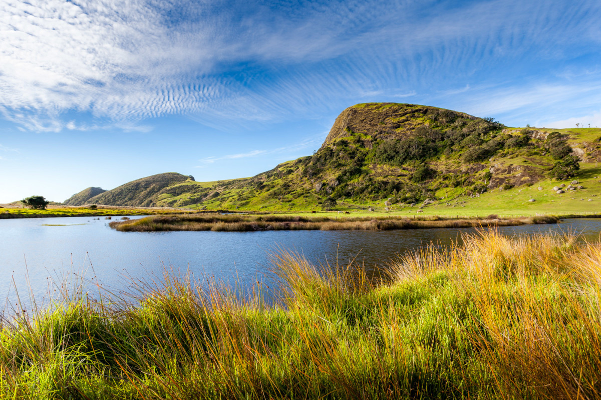 Spirits-Bay-Neuseeland-5