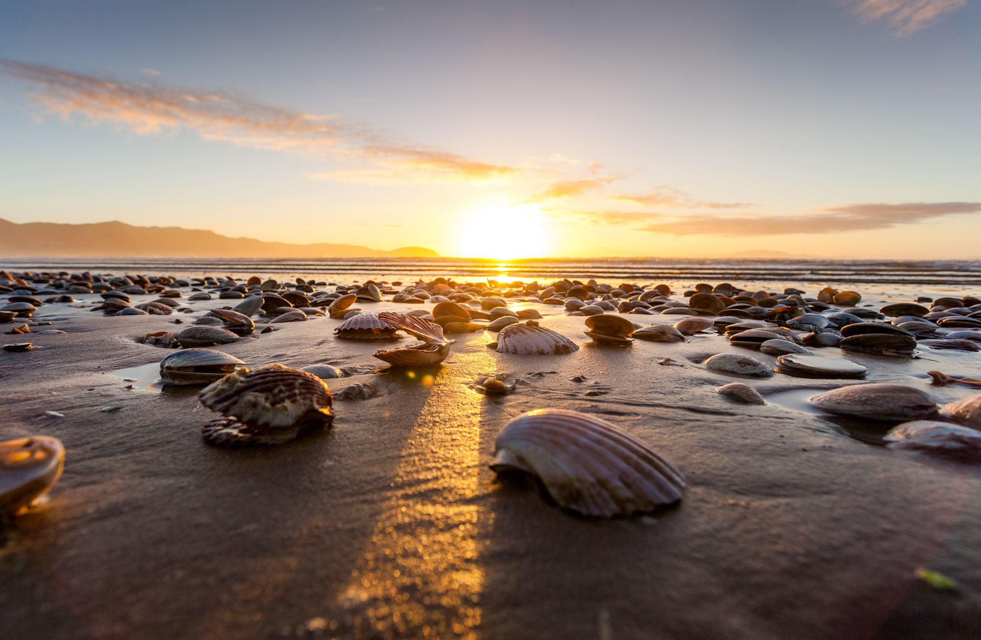 Northland – Von Paihia bis zum Spirits Bay