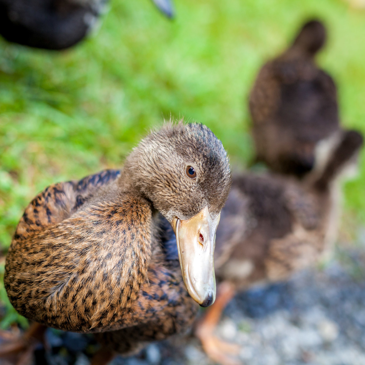 The-Coromandel-Neuseeland-11