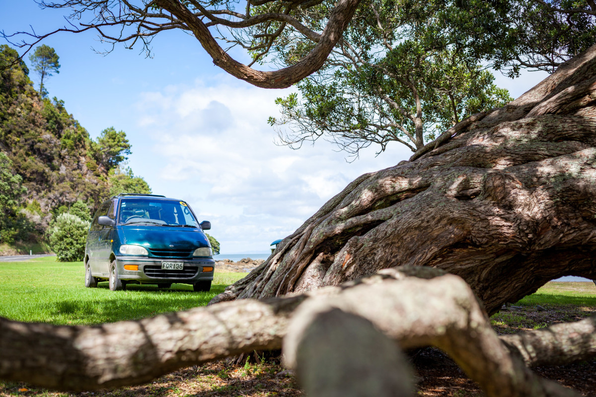 The-Coromandel-Neuseeland-15