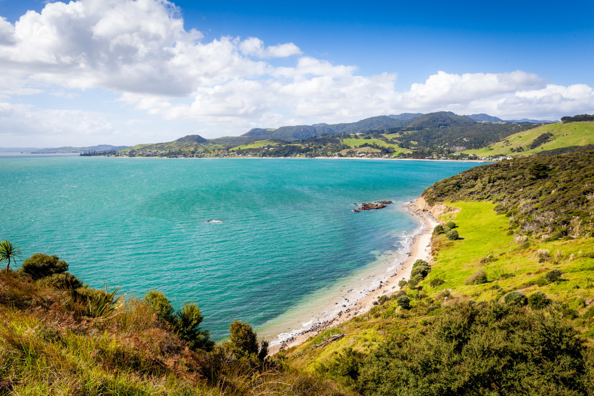 Waipoua-Kauri-Park-Neuseeland-1