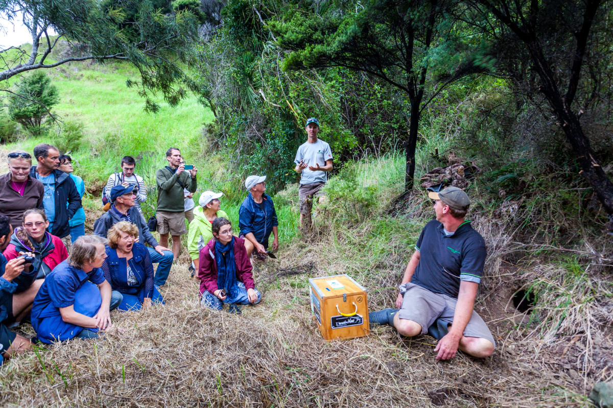 Whangarei-Neuseeland-17