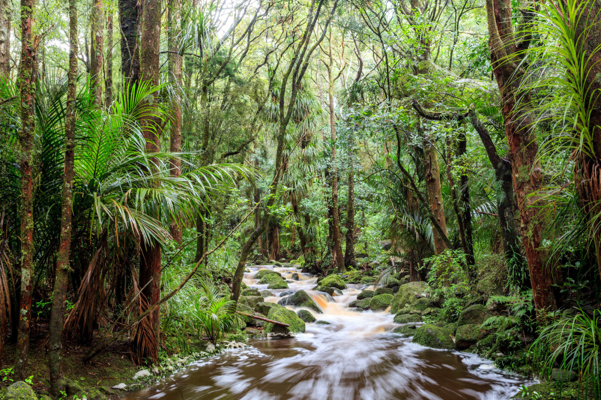 Whangarei-Neuseeland-23