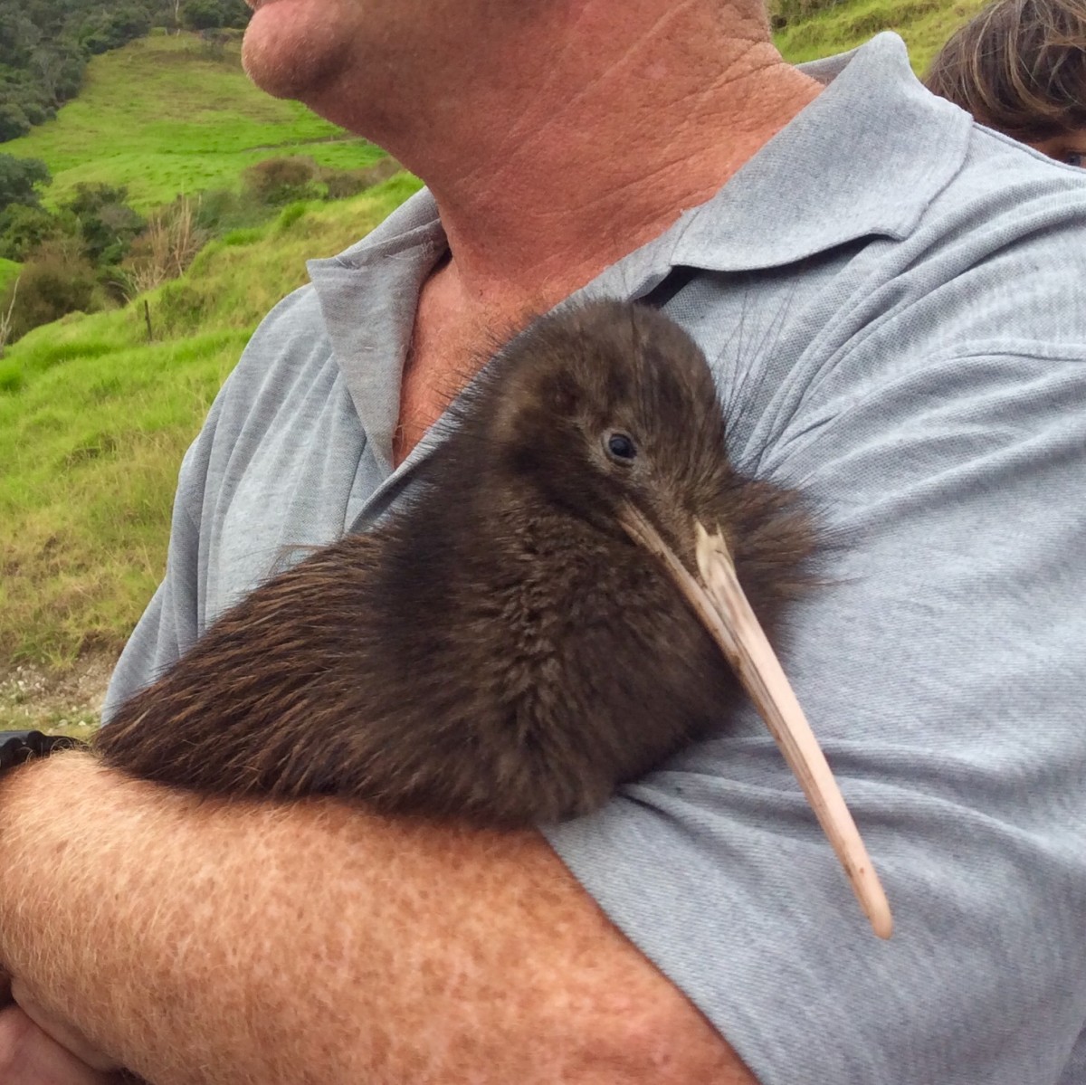 Whangarei-Neuseeland-35