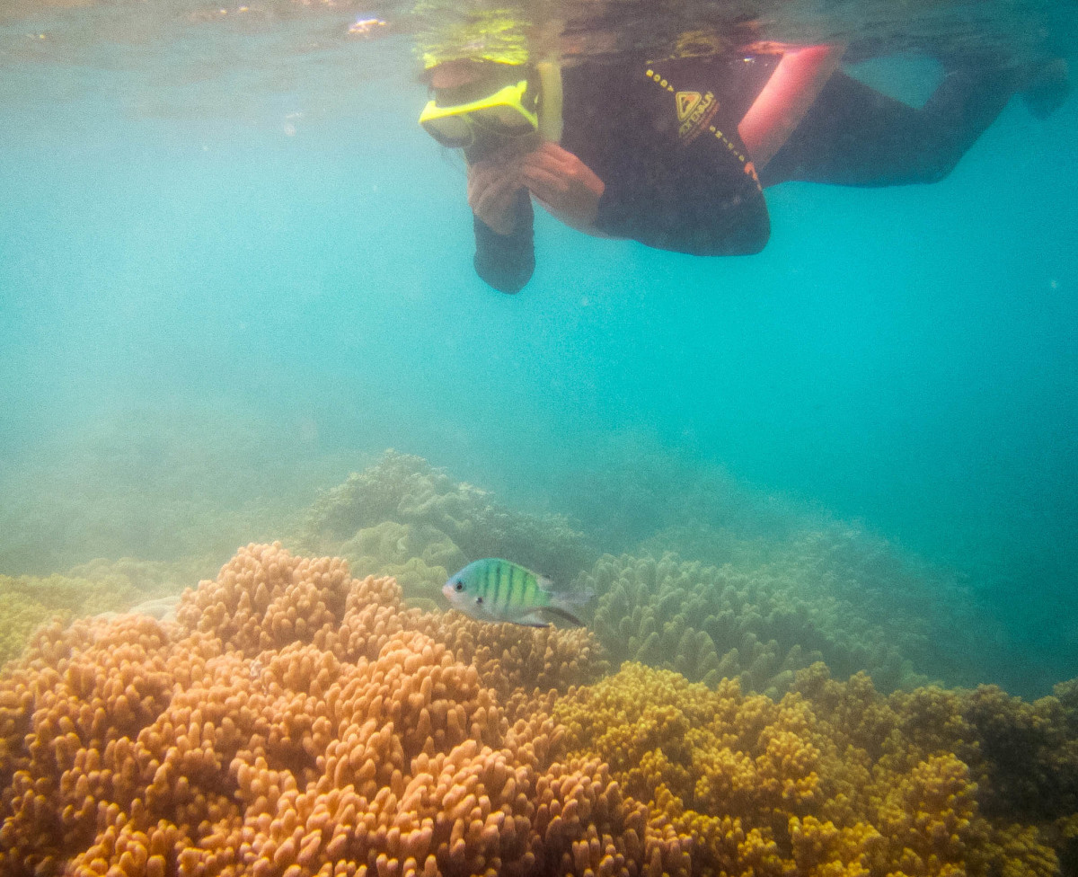 Whitsundays-Great-Barrier-Reef-Australien-17