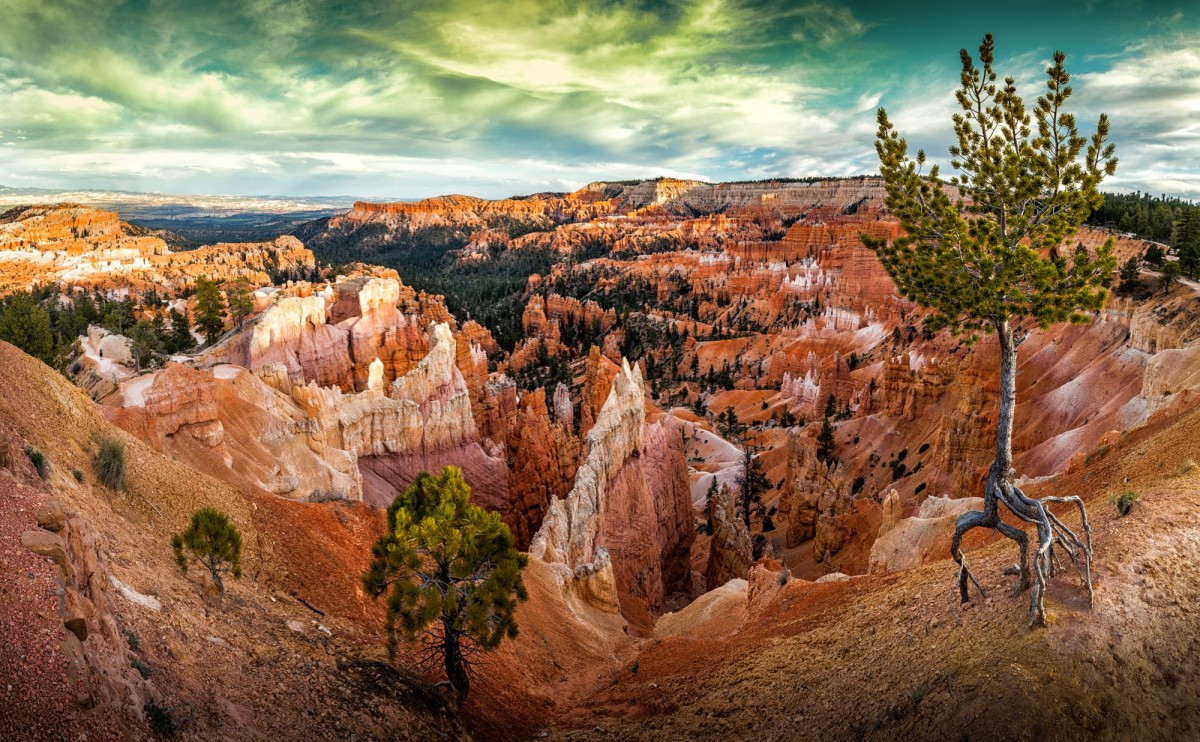 Bryce-Canyon-Nationalpark-Utah-USA-1