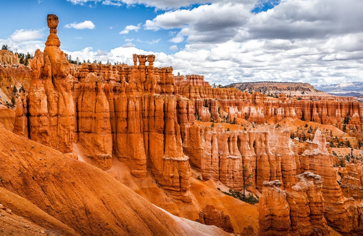 Bryce-Canyon-Nationalpark-Utah-USA-11