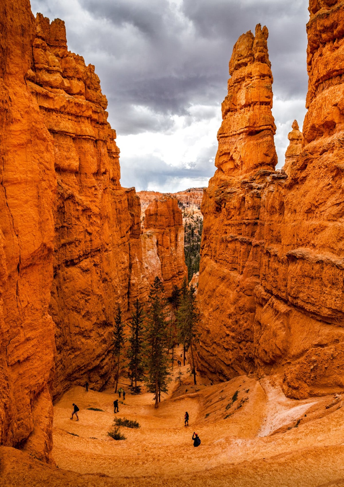 Bryce-Canyon-Nationalpark-Utah-USA-12