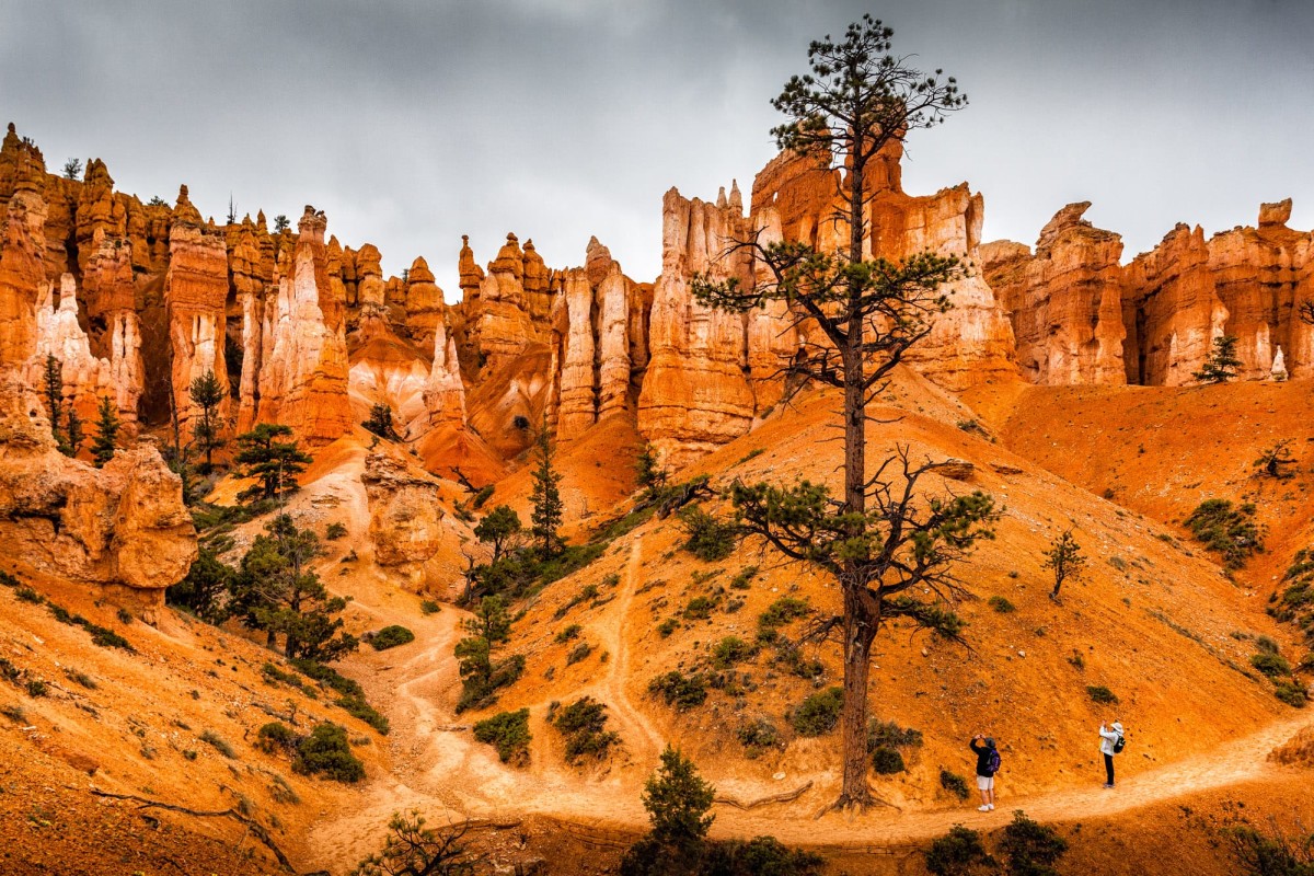 Bryce-Canyon-Nationalpark-Utah-USA-14