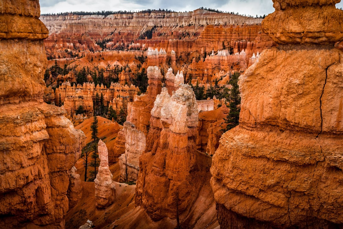 Bryce-Canyon-Nationalpark-Utah-USA-18