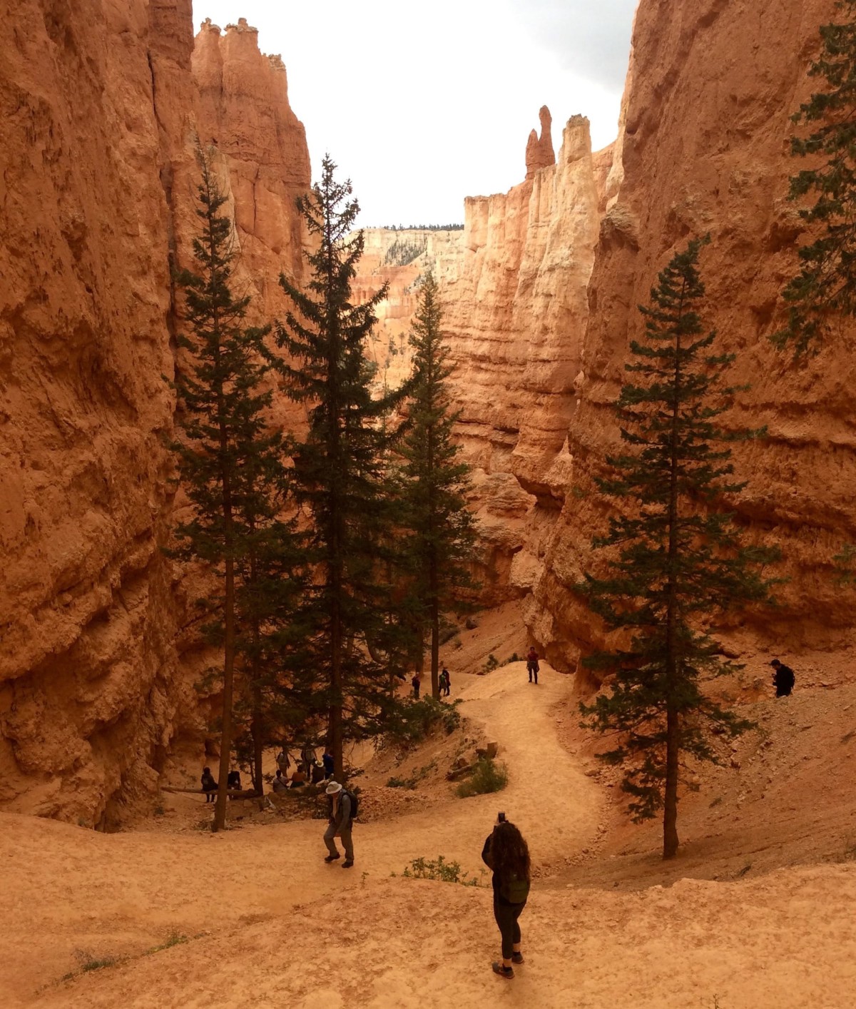 Bryce-Canyon-Nationalpark-Utah-USA-26