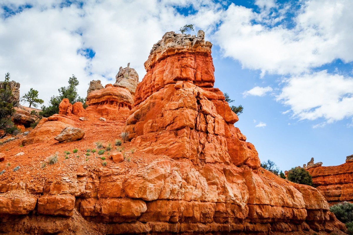 Bryce-Canyon-Nationalpark-Utah-USA-6