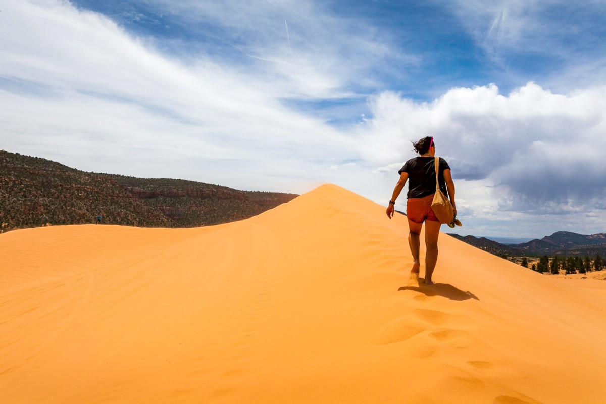 Coral-Pink-Sand-Dunes-Utah-USA-2