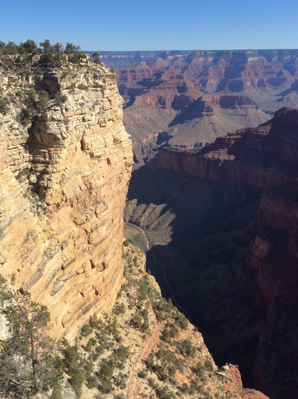 Grand-Canyon-Arizona-USA-25