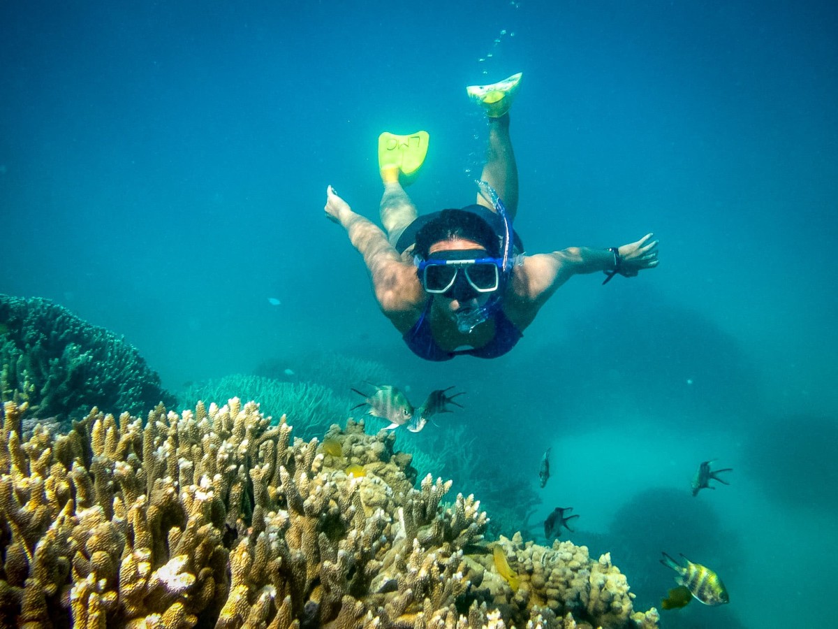 Lady-Musgrave-Great-Barrier-Reef-Australien-60