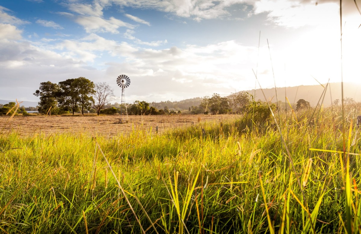 Maleny-Hinterland-Australien-4