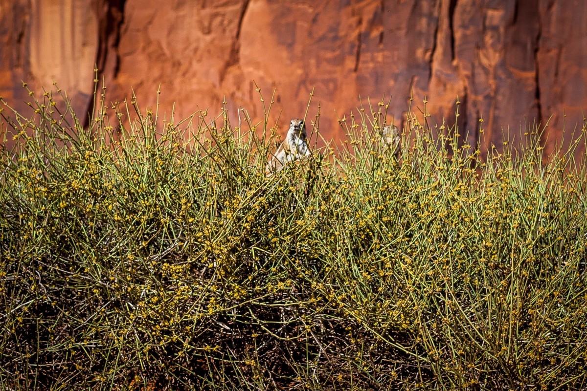 Monument-Valley-Utha-USA-12