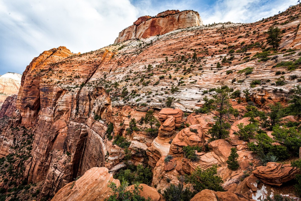 Zion-National-Park-Utah-USA-23