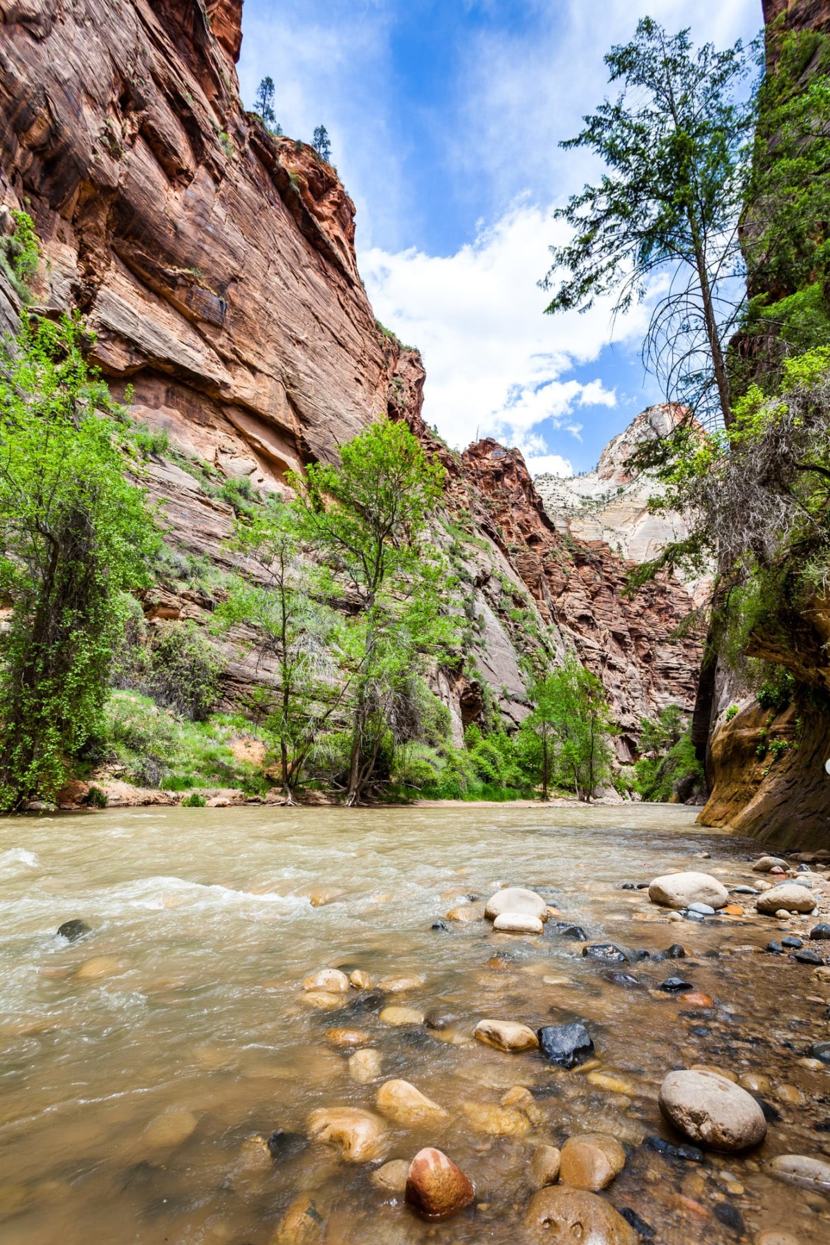 Zion-National-Park-Utah-USA-30