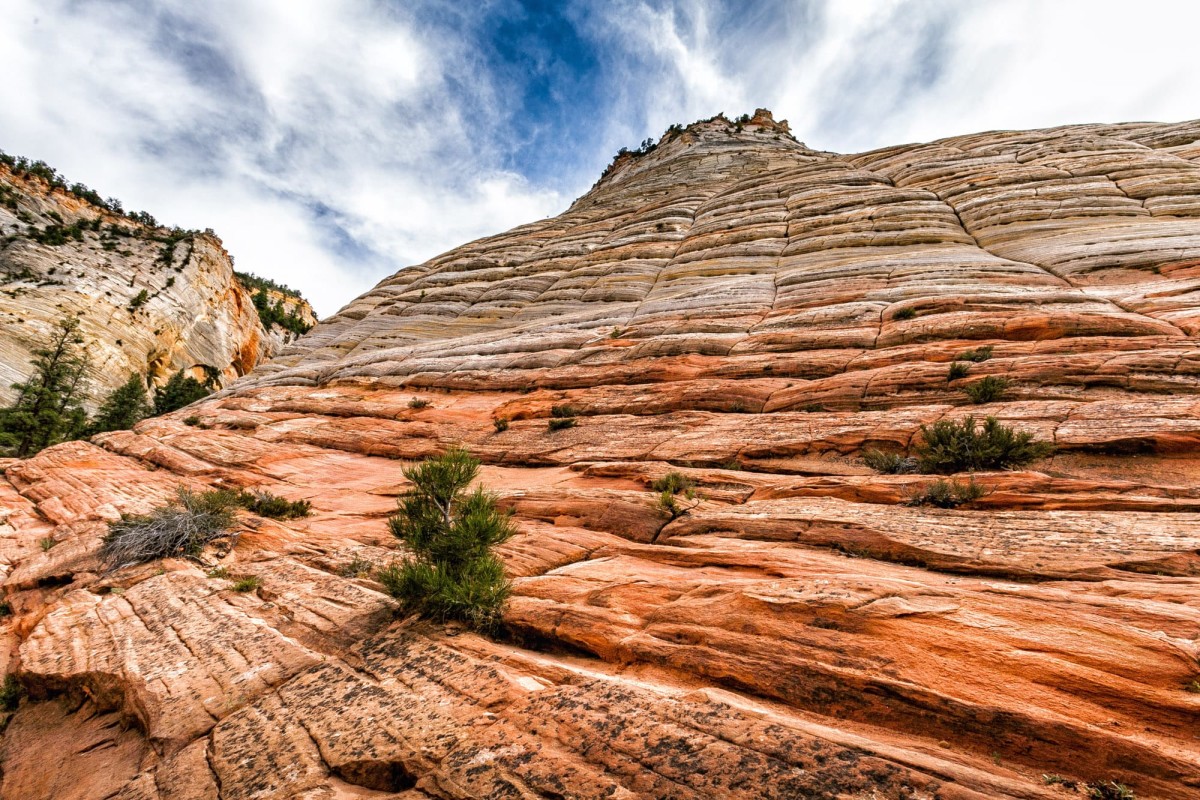 Zion-National-Park-Utah-USA-35