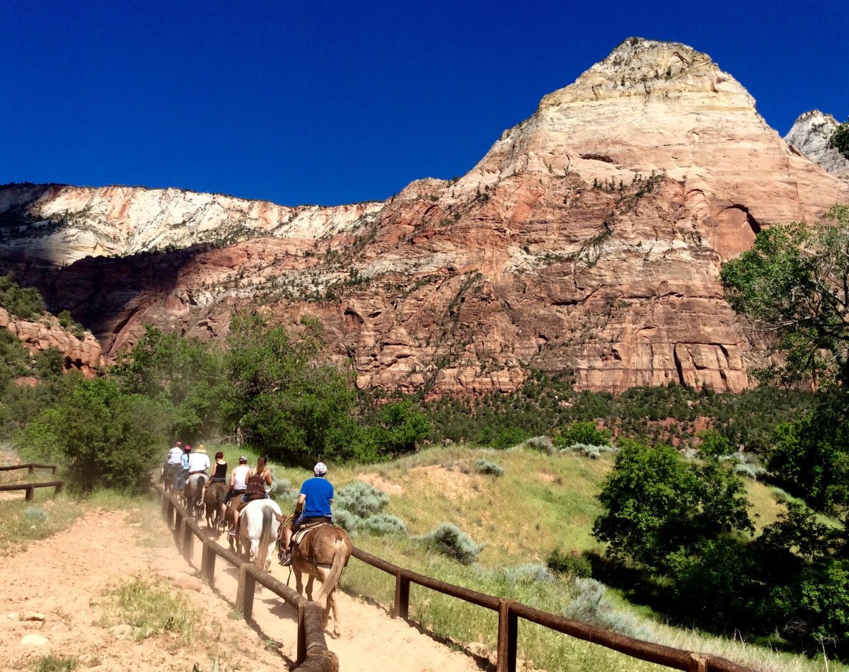 Zion-National-Park-Utah-USA-36