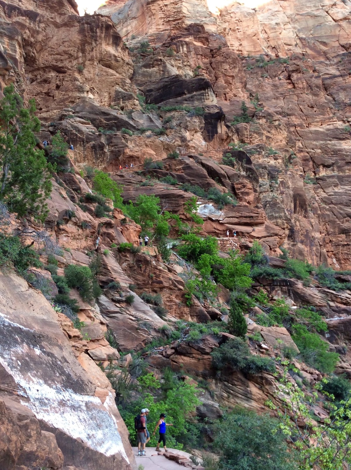 Zion-National-Park-Utah-USA-38