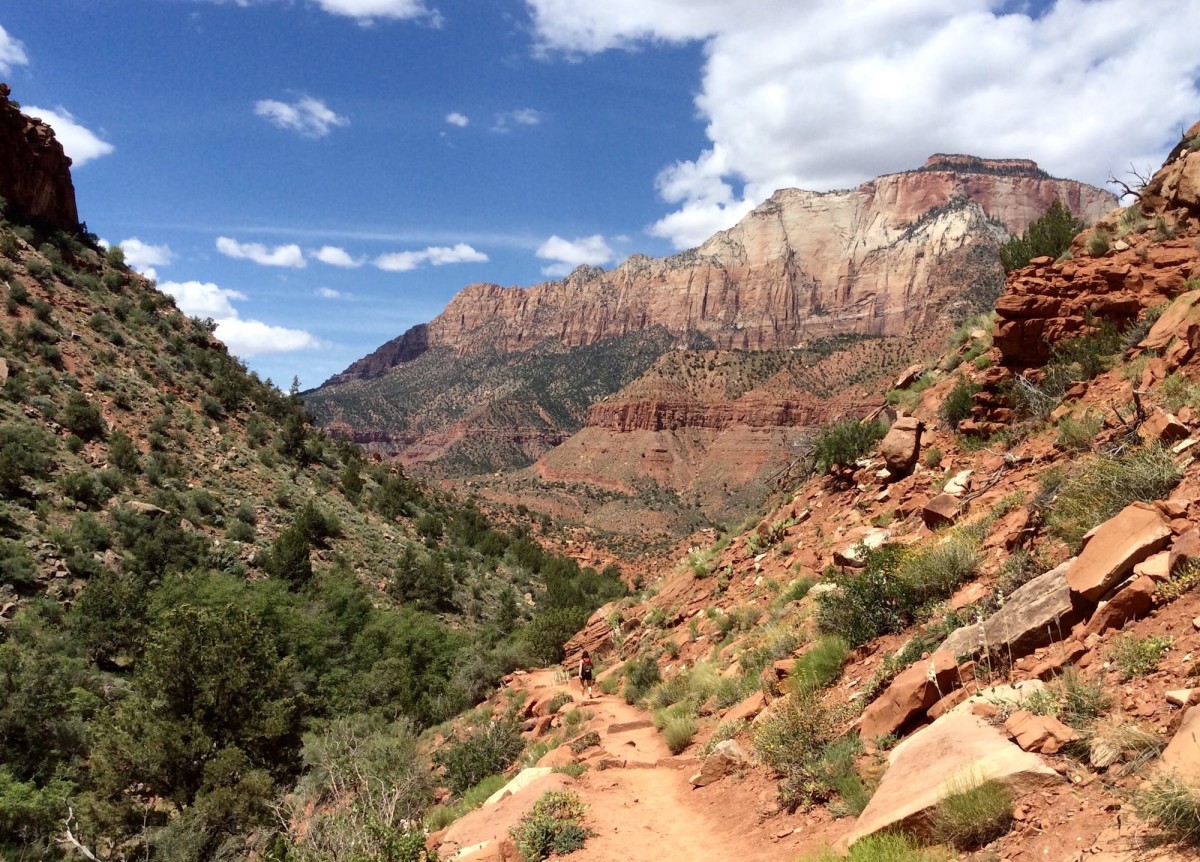 Zion-National-Park-Utah-USA-40