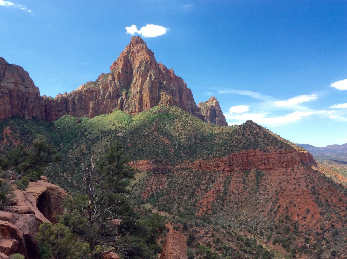 Zion-National-Park-Utah-USA-41