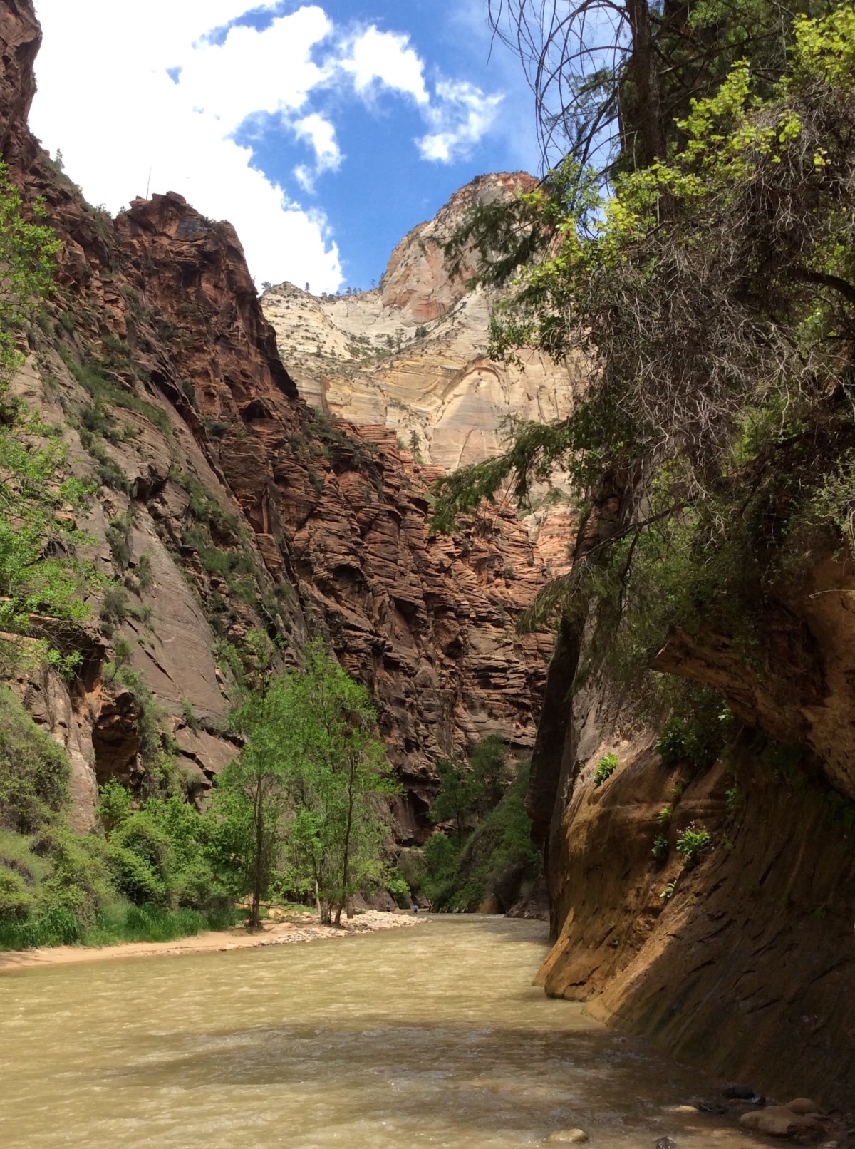 Zion-National-Park-Utah-USA-43