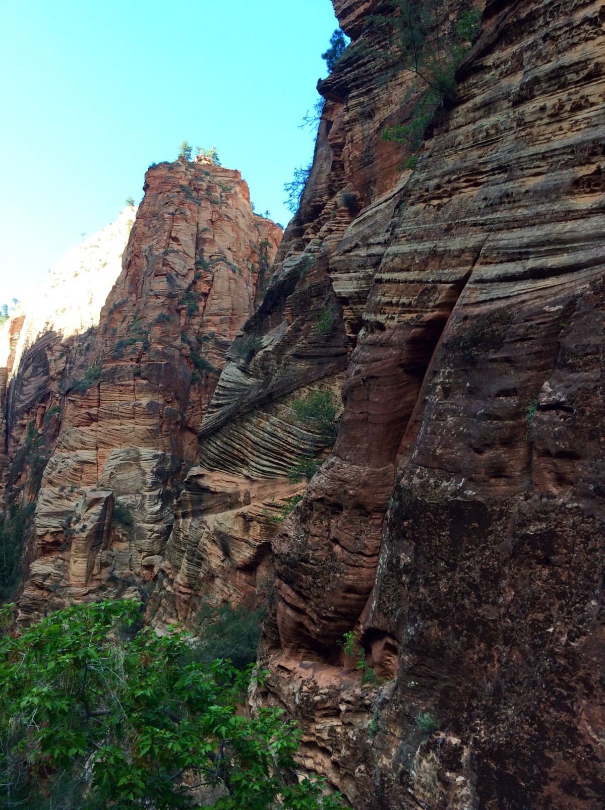 Zion-National-Park-Utah-USA-45