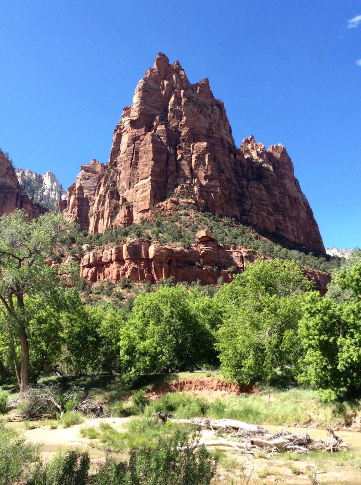 Zion-National-Park-Utah-USA-49