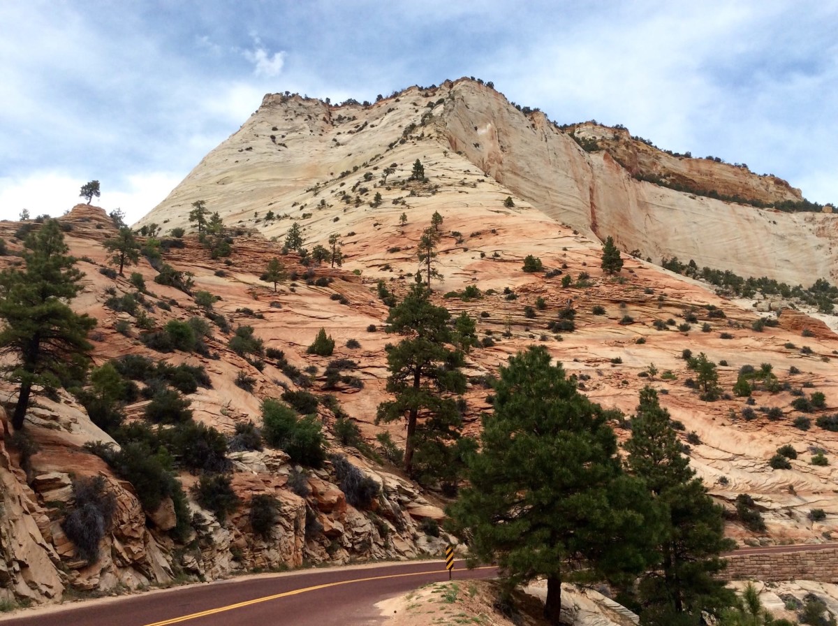 Zion-National-Park-Utah-USA-55