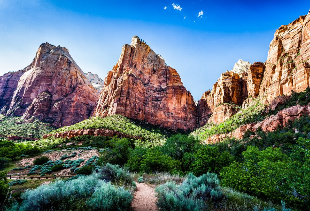 Zion-National-Park-Utah-USA-7