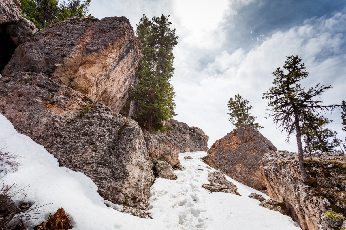 Bighorn-National-Forest-Wyoming-USA-3