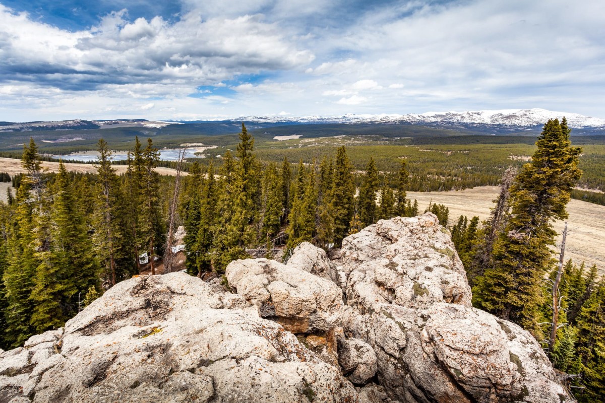 Bighorn-National-Forest-Wyoming-USA-4