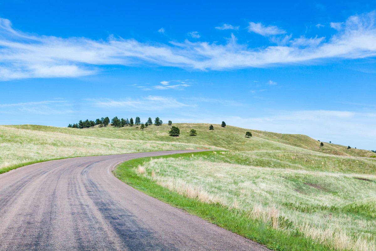 Custer-State-Park-South-Dakota-USA-1